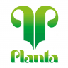 PLANTA